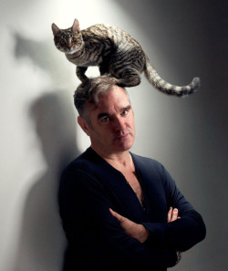 laughingsquid:  Morrissey With A Cat on His Head 