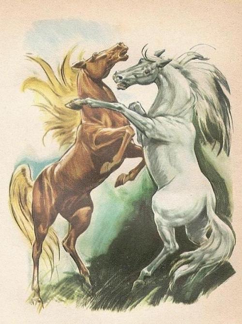 horseheaven:Art by J.P.Ariel for the french edition of The Island Stallion. Le combat.