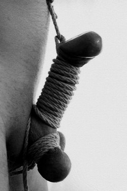 incessantinsanity:  …hopefully the rope work on the upper head is as good and tight as the ropework on the lower tormentedsub:  Beautiful work.   