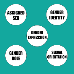 queer-core:  nullgrade:  This is a Venn diagram.