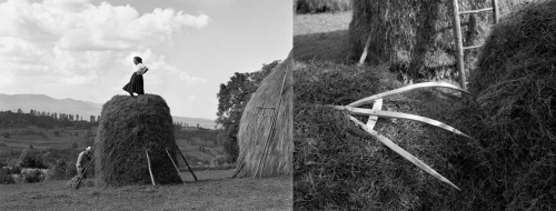 Making a Haystack, Sîrbi, 2002
Vasile tosses the dried hay up to Ileana, who tamps it down so that it can be combed to allow the rain to run off. She must always stay within grabbing distance of the haystack’s central pole, lest she fall. When they...