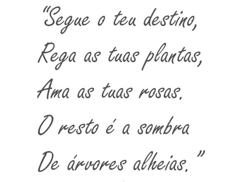  Fernando Pessoa 