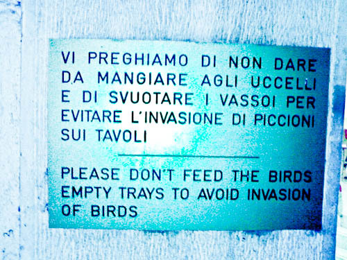 “Invasion of Birds” • McDonald’s - Verona (Italy)