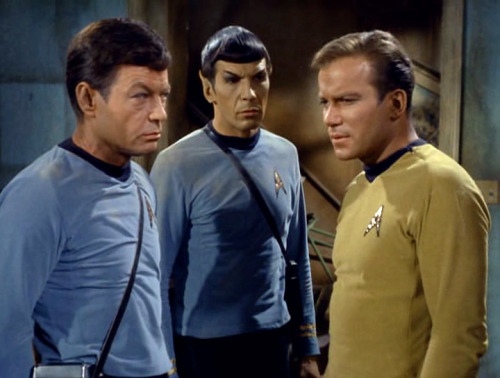 rewatchingstartrek:Watch out, Kirk. The blue shirts have set their eyebrows to raised.