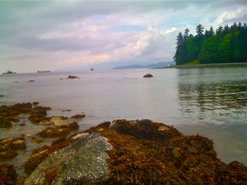 Breakfast on Second Beach.
