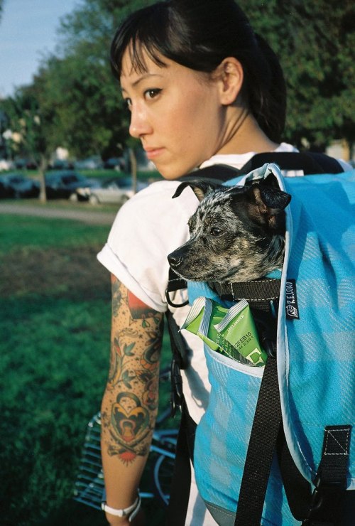 rastacsko: via: chicksandbikes.blogspot.com