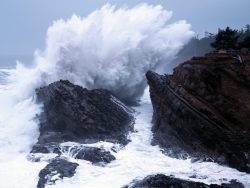 kenluong:  Crashing Waves, Shore Acres State