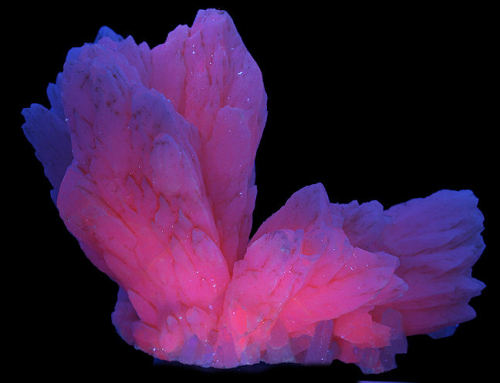 Porn Pics nightripper666:  glowing calcite! (under