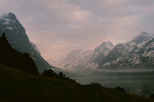 coffeestainsandcigarettes:  (by hanne::) 