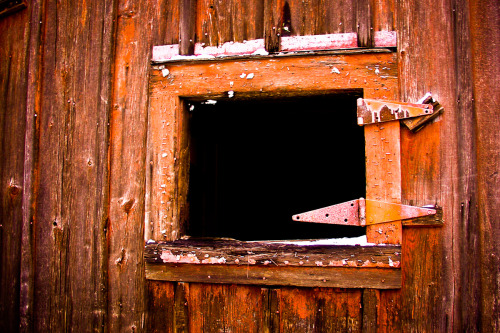 ~~ Unhinged ~~
Exterior wall of hunting camp.
Bitumen, Pennsylvania