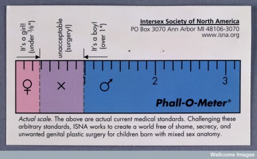 fuzzyhorns:fuzzyhorns:L0031936 Credit: Wellcome Library, London Intersex Society of North Americawww