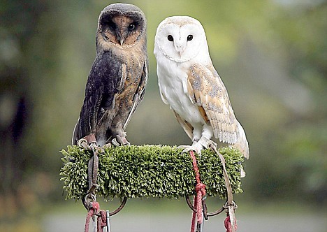 cuties, again.