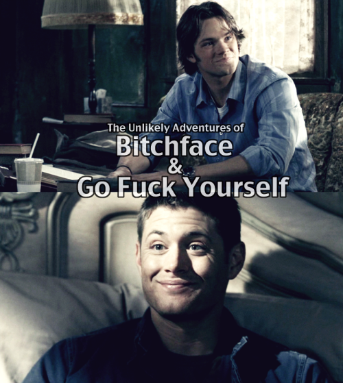 dreamofflight: There has never been a more accurate portrayal of the Winchesters.