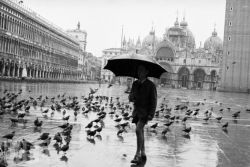 Vintage Venice