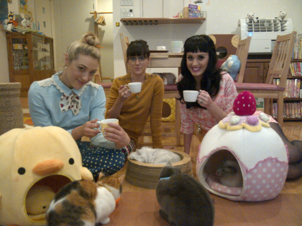 fuckyeahshannonwoodward:  (via Katy Perry’s Twitter … Just hanging @ the cat