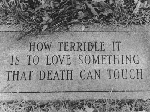 Love will tear us apart