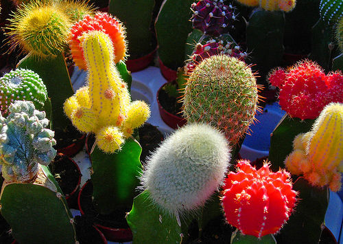 boogans:  I want all of them 