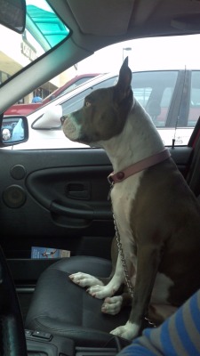 I can never say no to her getting in my car &lt;3