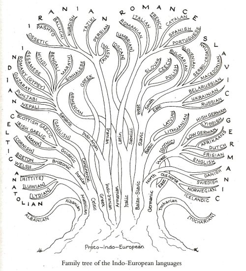 matthen:An interesting diagram showing the family tree of Indo-European languages. At the bottom is 