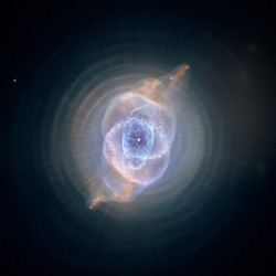 starryuniverse:  Haunting patterns within planetary nebula NGC 6543 readily suggest its popular moniker — the Cat’s Eye nebula.  The swirls of this glowing nebula are known to be the gaseous shroud expelled from a dying sun-like star about