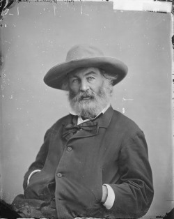 todaysdocument:  May 31 - Walt Whitman  “Walt Whitman, ca. 1860 - ca. 1865” Brady National Photographic Art Gallery (Washington, D.C.), Photographer.  American poet and writer Walt Whitman was born on May 31, 1819.  Be sure to check out the collection