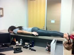 Planking on @sneaks_n_bows’ office