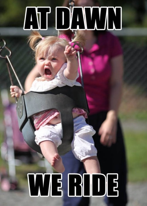 the-absolute-funniest-posts:  Submitted by                                                                                                                       asummerstateofmind Follow this blog, you’ll love it on your dashboard! 