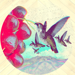 xxx tumblr