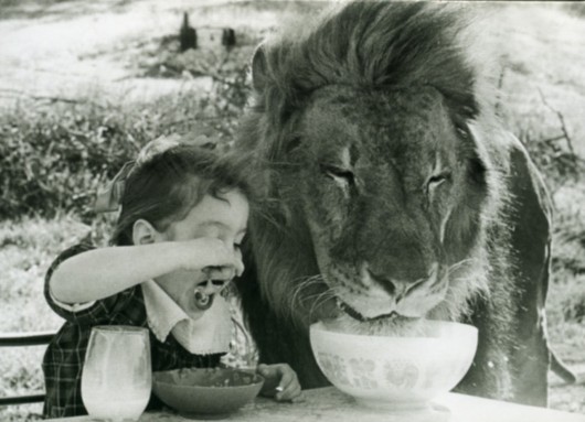 fearandhope:  Breakfast with her pet lion…no big deal 