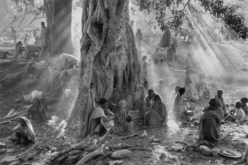 Tigray, Ethiopia photo by Sebastião Salgado, 1985