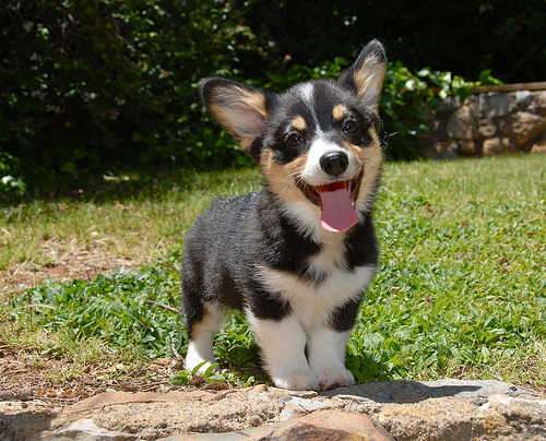 Omgawdd so cuteee!! &lt;33