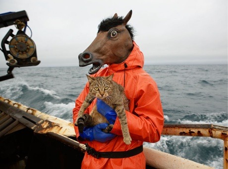 Sarah Jessica Parker and her cat