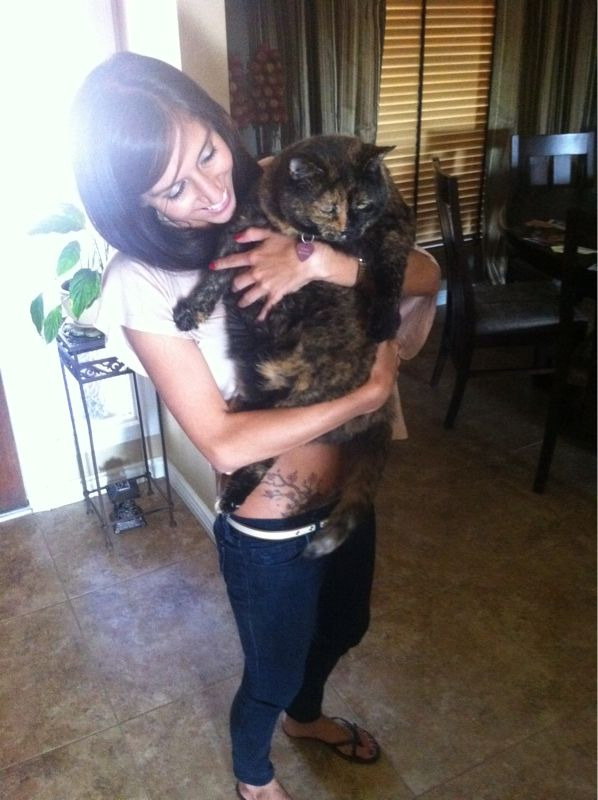 Visited my Dad and found that the family cat has gotten significantly fatter. Awesome!