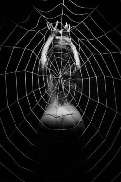 is she caught in the web or is she the one who has spun the elaborate web?