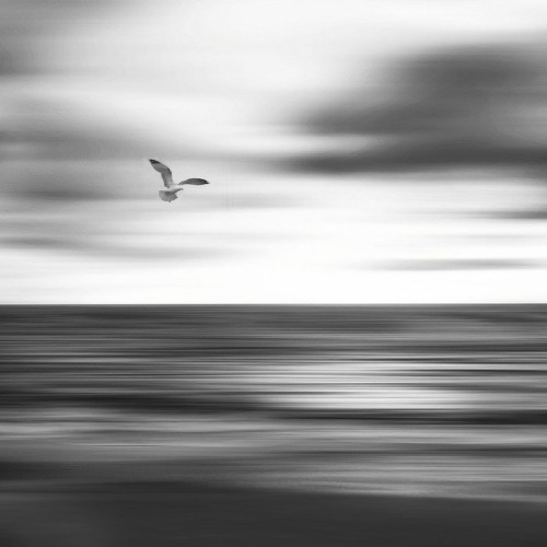 black-and-white:  la mer | by figueline 