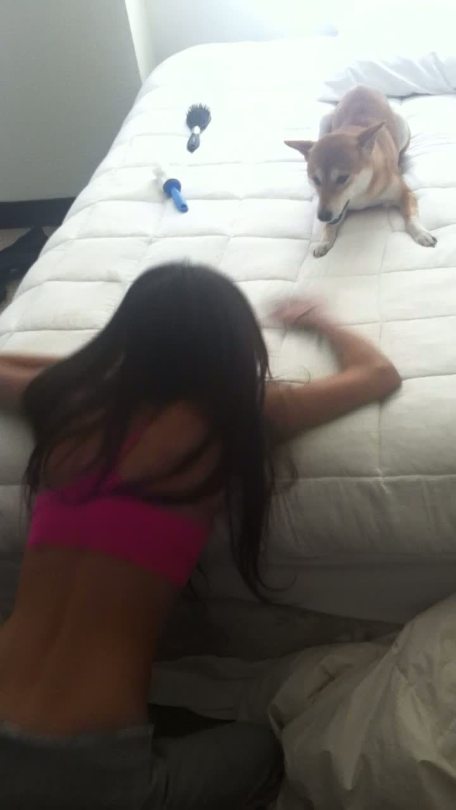 jessieandrews:  Awe @undeux playing with dag!!!!  My Dagny is the best puppy!
