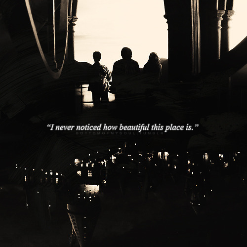 wthisbucky:  I never noticed how beautiful this place is… 
