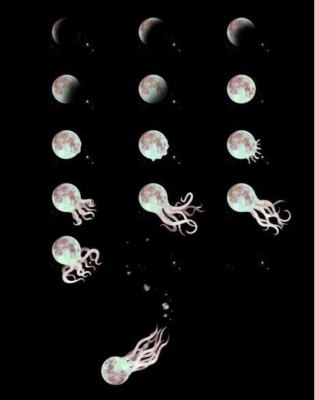 Unseen and Wondrous