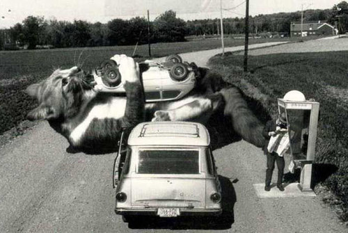 demon-of-the-fall:  When a dog is gigantic, it helps out a firehouse. When a cat is gigantic, it fucks shit up, awww yeahhh  ^^<333 Yess