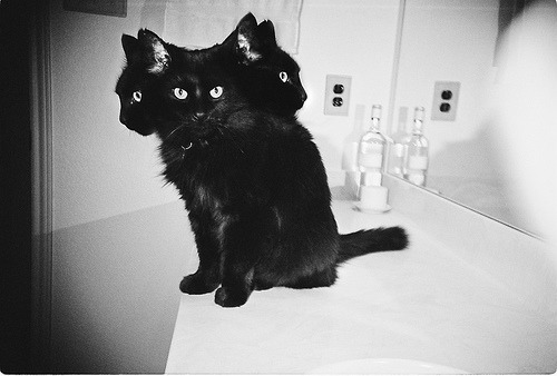 whenthewickedhavetheirway:  {As The Fates See It.} 
