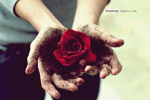franhop:  .. Depende da terra que você plantar. Depende de como você vai regar.