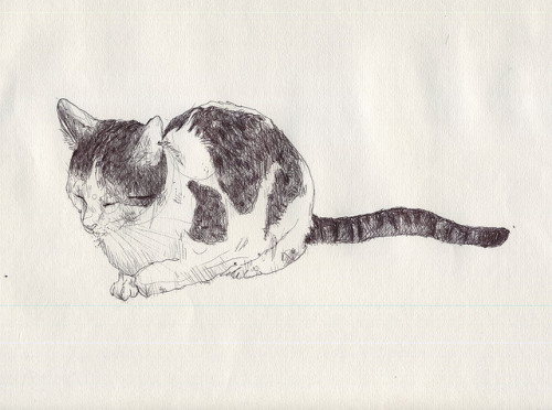 poumon:  for delia by m. lewandowski on Flickr.