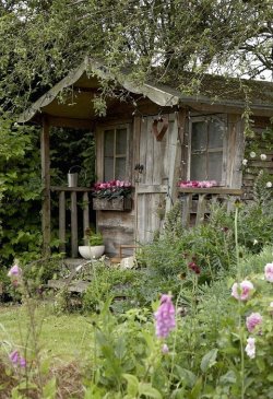 galileogst:  The love shack…. 