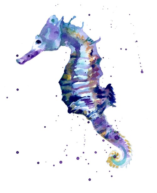 new blog; http://tropical-waves.tumblr.com/ http: