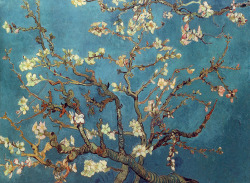  Vincent Van Gogh Branch of an Almond Tree in Blossom [1890]  