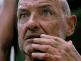 All these awesome blogs are following me and I'm like...