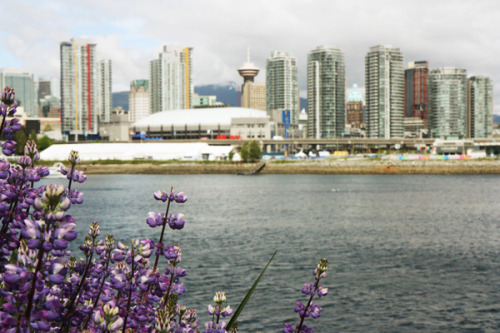 What its JUNE already! Ahhh two weeks until west coast (of the US). This picture is of Vancouver from last summer. Vancouver is probably my favourite Canadian city so far. Hope the west coast of the States is as good.
Ps… when I was posting my...