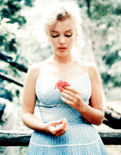 vintagegal:  Marilyn Monroe 