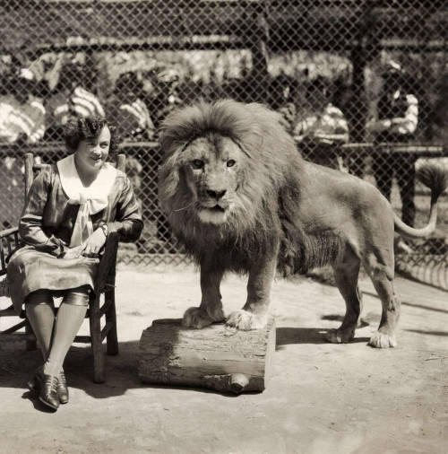 firsttimeuser: Mrs. Gay poses with male lion on lion farm in El Monte, California, 1941