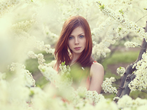 Dmitry Ageev — photography @ ShockBlast - inspire yourself.